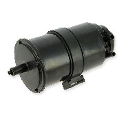 Kanister, der den Kraftstofftank entlüftet 250F3