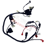 Kabelbaum für Quad Shineray 200ST-9