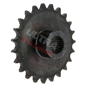 Ritzel 23 Z für Quad Shineray 250 ccm ST-9C