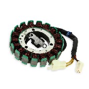 Stator für Quad Shineray 350ccm