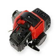 Motor komplett 47 ccm für einen Thermoscooter