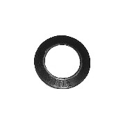 Erhaltungsscheibe magnetischen Filter für Quads Shineray 250ST-9E