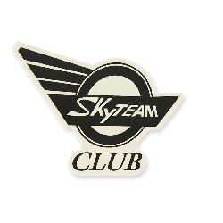 SkyTeam Club Aufkleber für Skymini-Panzer (rechts)