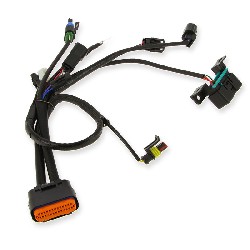 Verbindungskabel 1 für Motorsteuereinheit für Skyteam Skimini EURO5 - NEUE VERSION