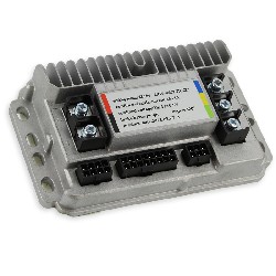 Dimmersteuerung 1000W mini Citycoco (typ3)