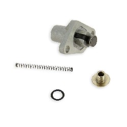 Steuerkettenspanner für Skooter Baotian BT49QT-11