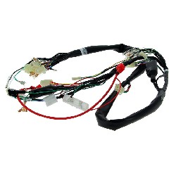 Kabelbaum 36610-17H01 für Skymax 50 ccm 125 ccm (vor 10-2015)