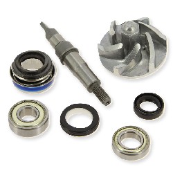 Überholungskit Wasserpumpe für Quads Bashan 250ccm (BS250S-11)