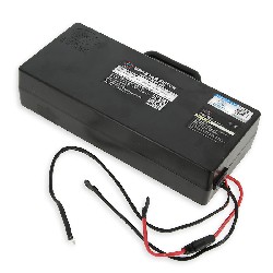 Batterie Li 60VF12Ah für Citycoco
