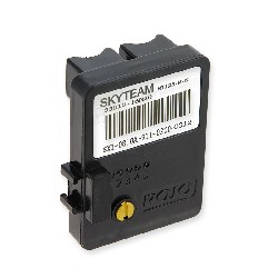 Motorsteuereinheit für Dax Skyteam Skymax ST125-M-N E4