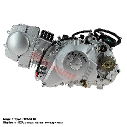 Motor Bubbly 125ccm mit elektrischen Anlasser (1P52FMI) für Bubbly (6-6B)