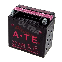 Batterie YTX14-BS für Quad Shineray 350 ccm (XY350ST-2E)
