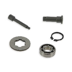 Überholungskit Kupplung für Quads Shineray 250ccm ST-9E (Typ 2), Ersatz Shineray 250 STIXE ST9E